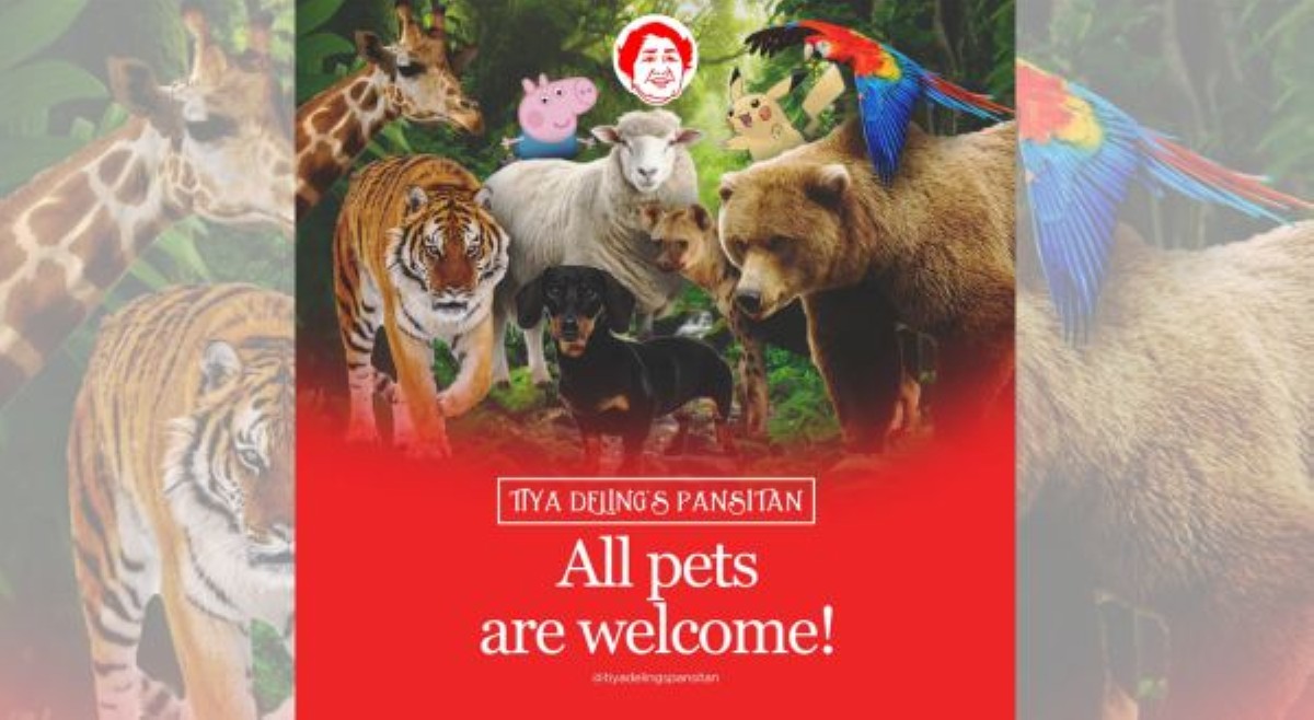 'Madadala ko na king cobra ko!' Pansitan sa Daraga, pinapapasok 'LAHAT' ng uri ng pets