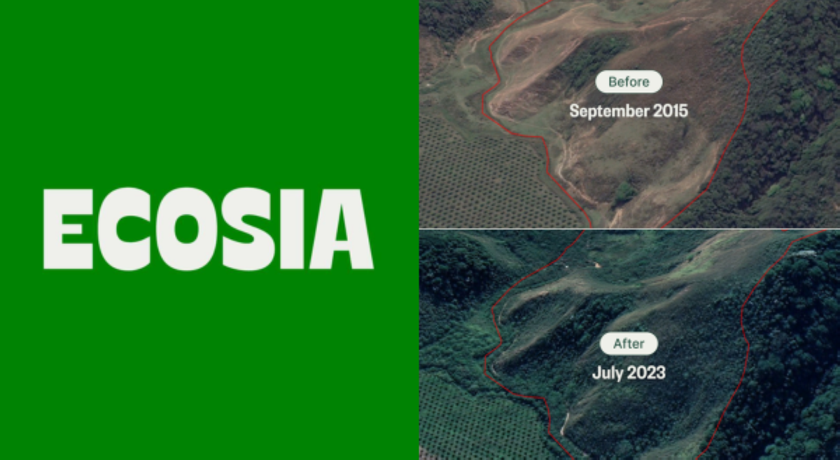 Search engine 'Ecosia,' ibinida resulta ng tree planting project sa loob ng 8 taon