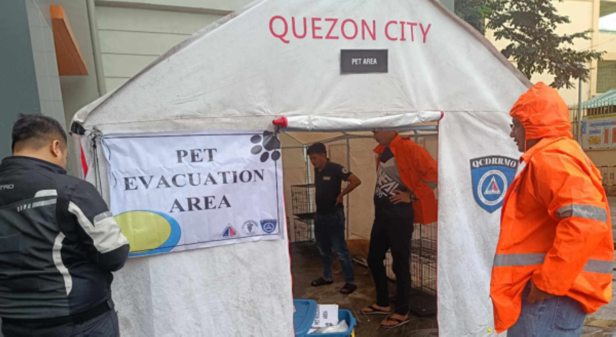 &lsquo;Walang maiiwan!&rsquo; Evacuation area para sa fur babies, itinayo sa QC