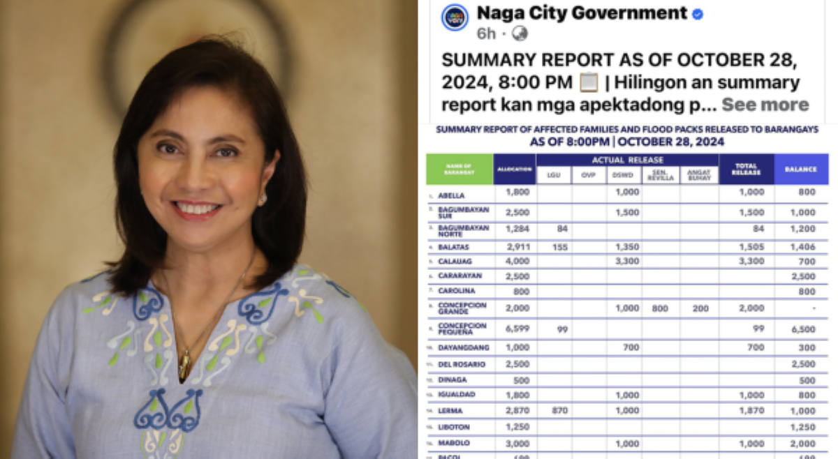 &lsquo;Irresponsible post!&rsquo; Robredo, pumalag sa summary report ng Naga City Government