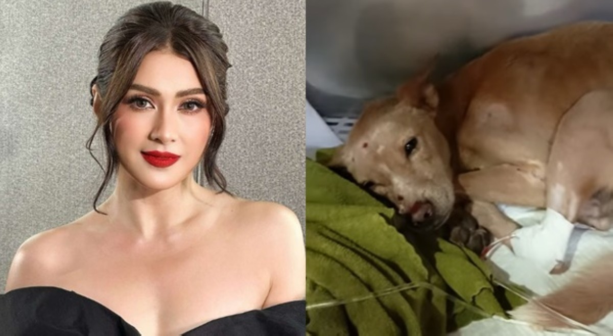 Apela ni Carla sa mga motorista: 'Brake' for animals on the road!