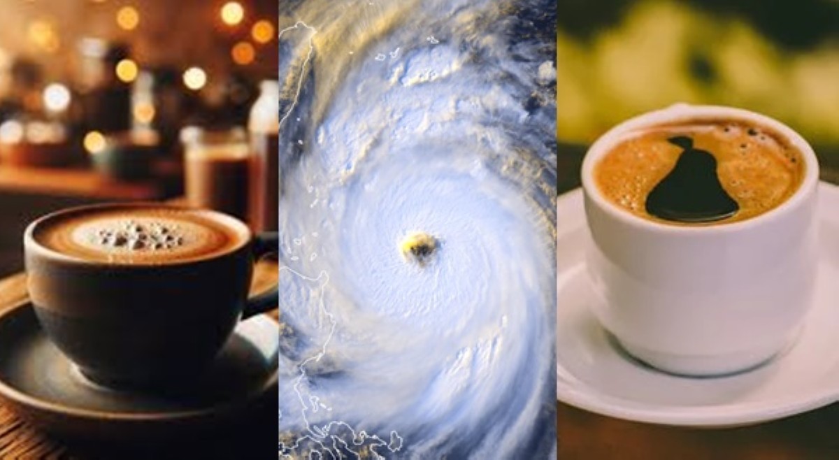 Bula ng kape, puwedeng gawing batayan kung may bagyo?