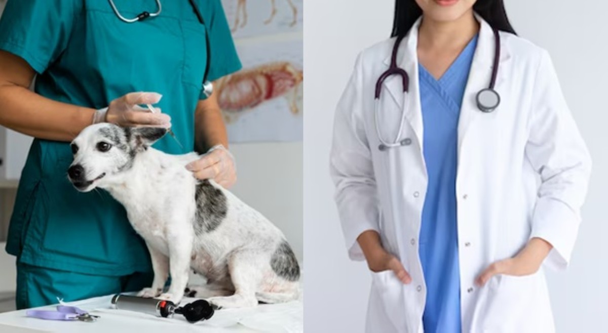 'Vets are also doctors!' Beterinaryo 'minaliit' daw ng isang doktor, umani ng reaksiyon
