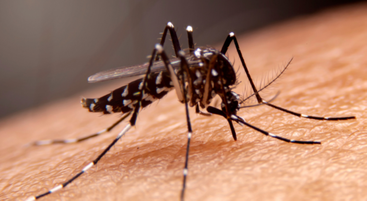 Kaso ng dengue sa ilang munisipalidad sa NCR, umabot na sa epidemic level