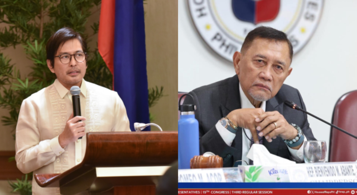 Fernandez, Abante, pansamantalang binitawan posisyon sa House Quad Committee