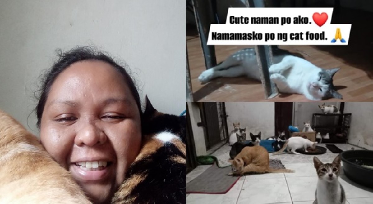 May sakit na, inabandona pa ng pamilya? Fur mom, umapela para sa rescued cats