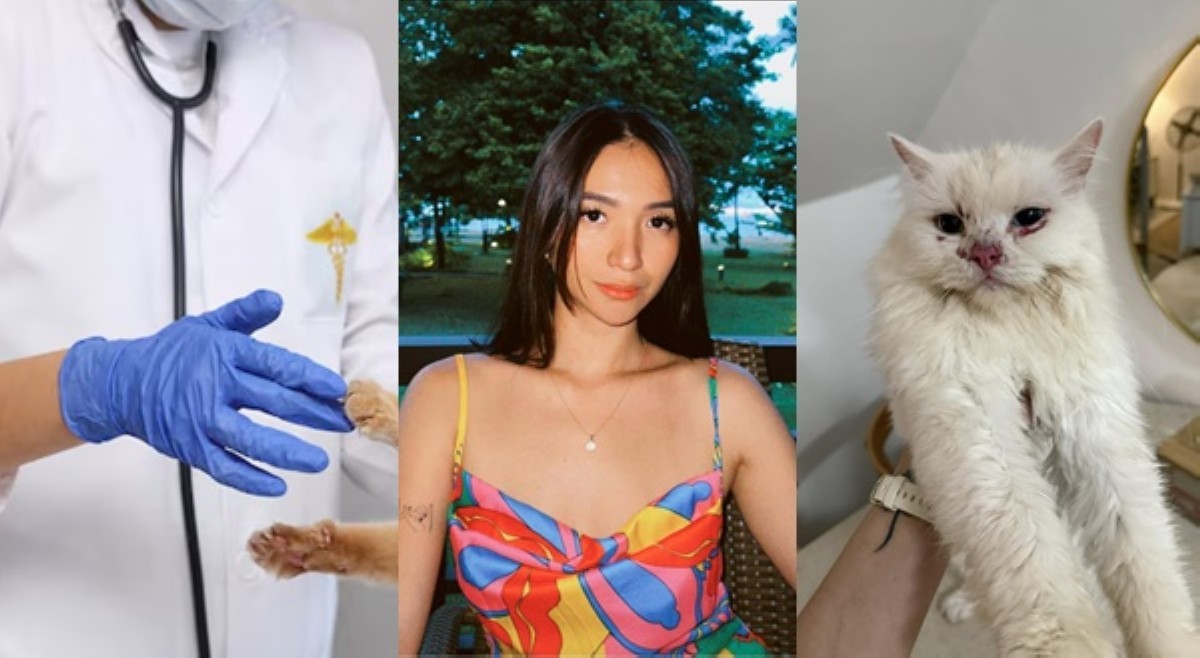 Vet clinic, pumalag sa paratang na inabuso nila pusa ni Angel Dei