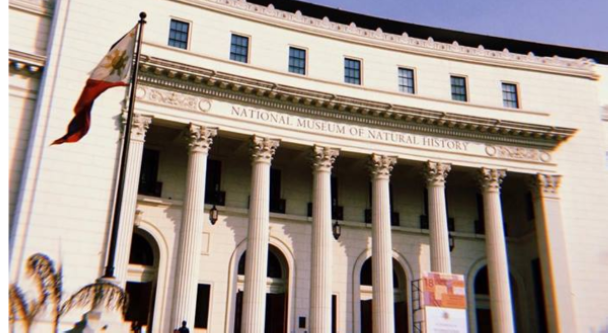 National Museum, bukas na araw-araw