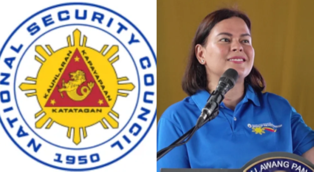 Dalawang senador, suportado pagkasibak kina VP Sara, FPRRD sa NSC