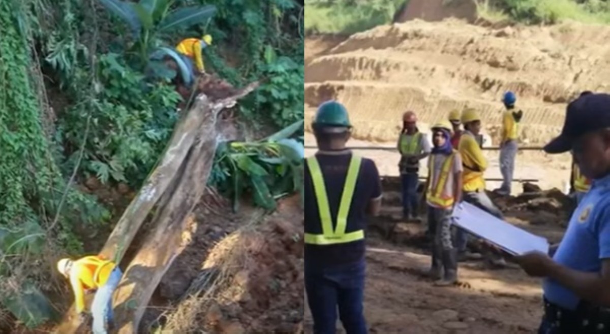 Construction worker na naka-breaktime lang, patay matapos masapul ng natumbang puno sa ulo
